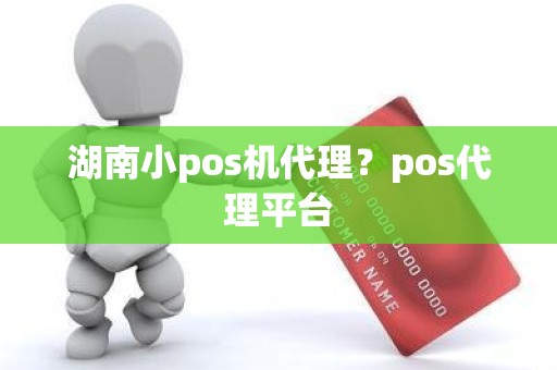 湖南小pos机代理？pos代理平台