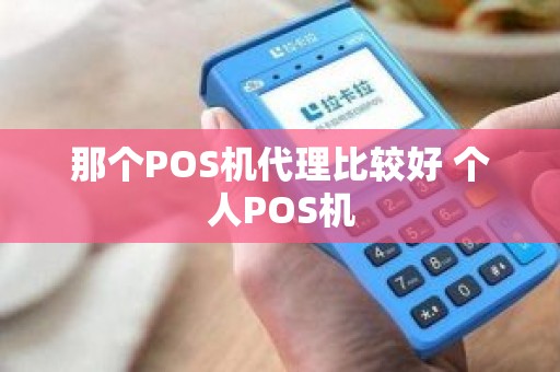 那个POS机代理比较好 个人POS机