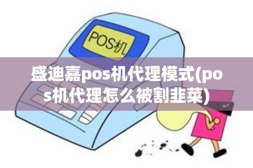 盛迪嘉pos机代理模式(pos机代理怎么被割韭菜)