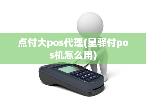 点付大pos代理(星驿付pos机怎么用)