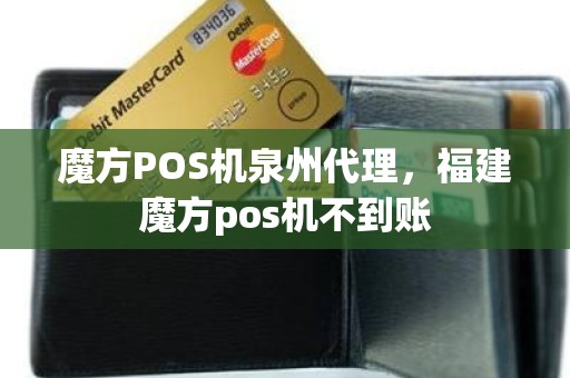 魔方POS机泉州代理，福建魔方pos机不到账