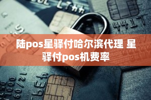 陆pos星驿付哈尔滨代理 星驿付pos机费率