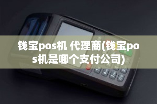 钱宝pos机 代理商(钱宝pos机是哪个支付公司)