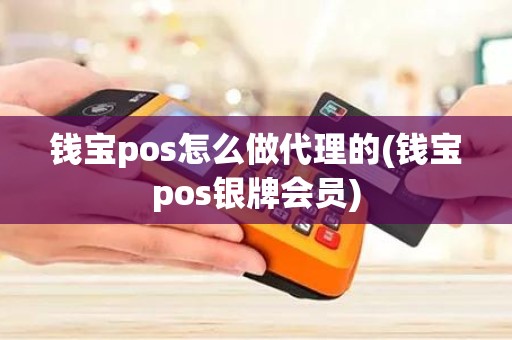 钱宝pos怎么做代理的(钱宝pos银牌会员)