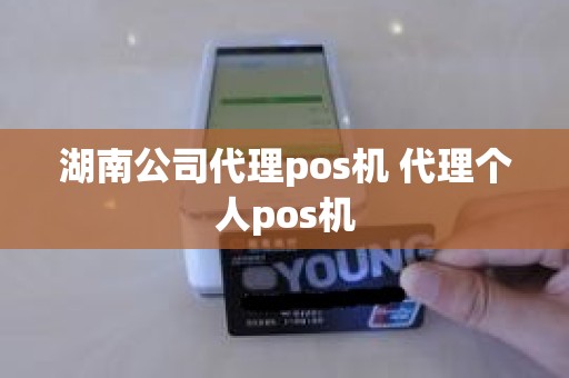 湖南公司代理pos机 代理个人pos机
