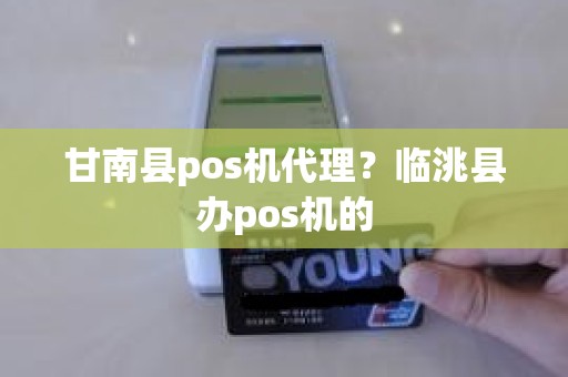 甘南县pos机代理？临洮县办pos机的