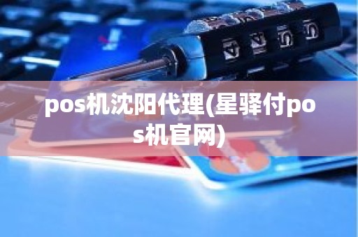 pos机沈阳代理(星驿付pos机官网) pos机沈阳代理(星驿付pos机官网)