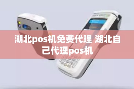 湖北pos机免费代理 湖北自己代理pos机