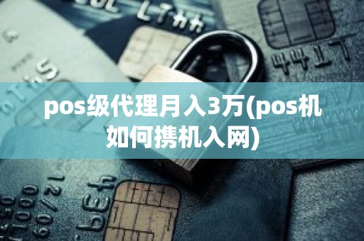 pos级代理月入3万(pos机如何携机入网)
