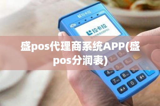 盛pos代理商系统APP(盛pos分润表)