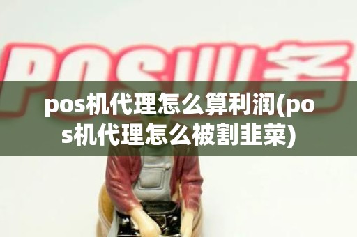 pos机代理怎么算利润(pos机代理怎么被割韭菜)