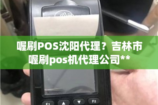 喔刷POS沈阳代理？吉林市喔刷pos机代理公司**