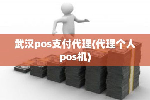 武汉pos支付代理(代理个人pos机)