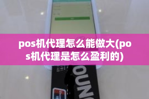 pos机代理怎么能做大(pos机代理是怎么盈利的)