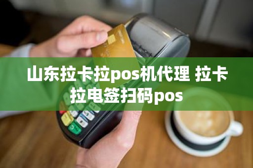 山东拉卡拉pos机代理 拉卡拉电签扫码pos