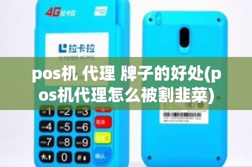 pos机 代理 牌子的好处(pos机代理怎么被割韭菜)