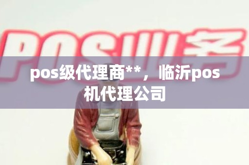 pos级代理商**，临沂pos机代理公司