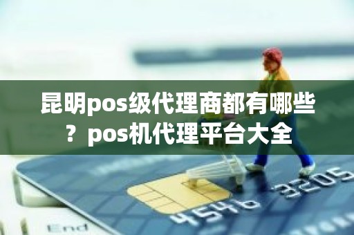 昆明pos级代理商都有哪些？pos机代理平台大全