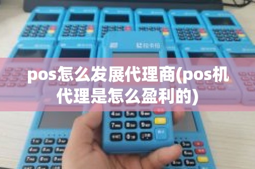 pos怎么发展代理商(pos机代理是怎么盈利的)