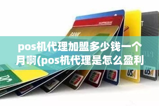 pos机代理加盟多少钱一个月啊(pos机代理是怎么盈利的)