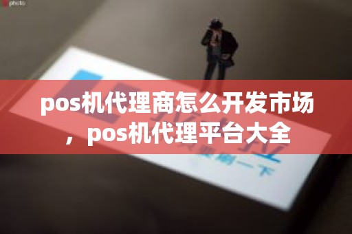 pos机代理商怎么开发市场，pos机代理平台大全