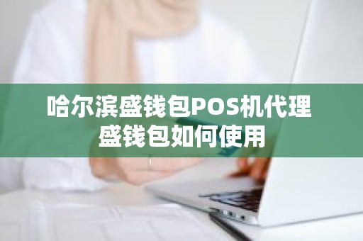 哈尔滨盛钱包POS机代理 盛钱包如何使用