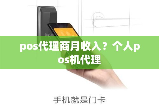 pos代理商月收入?个人pos机代理 pos代理商月收入?个人pos机代理