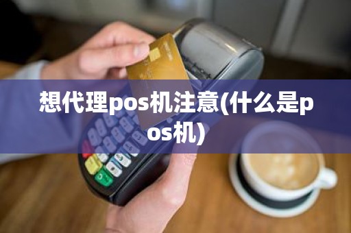 想代理pos机注意(什么是pos机)