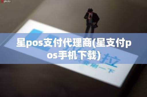星pos支付代理商(星支付pos手机下载)