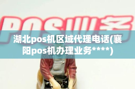 湖北pos机区域代理电话(襄阳pos机办理业务****)