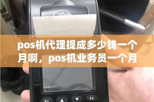 pos机代理提成多少钱一个月啊，pos机业务员一个月收入