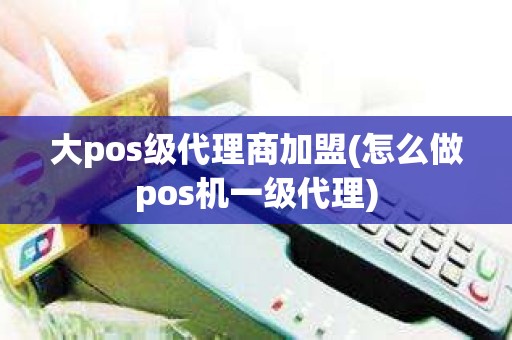 大pos级代理商加盟(怎么做pos机一级代理)