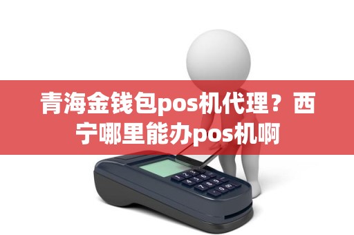 青海金钱包pos机代理？西宁哪里能办pos机啊