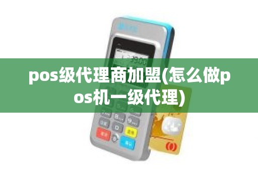 pos级代理商加盟(怎么做pos机一级代理)