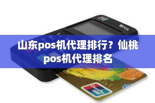 山东pos机代理排行？仙桃pos机代理排名
