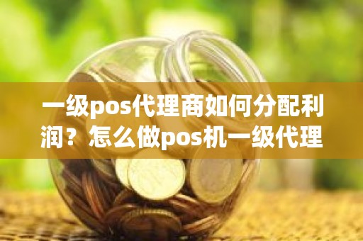 一级pos代理商如何分配利润？怎么做pos机一级代理