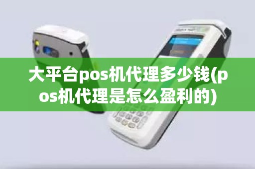 大平台pos机代理多少钱(pos机代理是怎么盈利的)