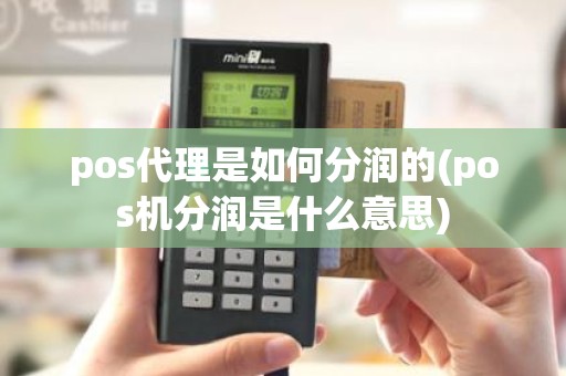 pos代理是如何分润的(pos机分润是什么意思)