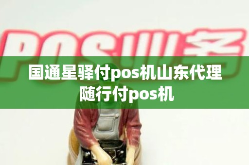 国通星驿付pos机山东代理 随行付pos机
