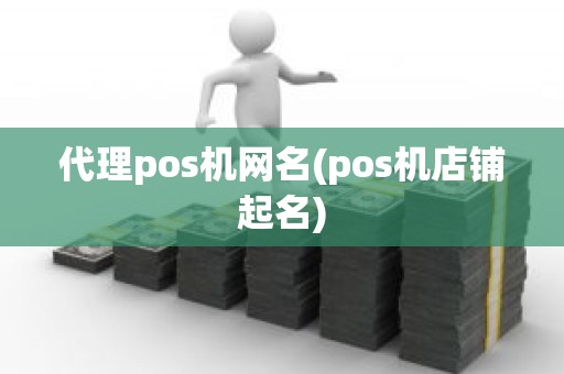代理pos机网名(pos机店铺起名)