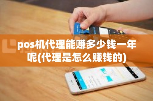 pos机代理能赚多少钱一年呢(代理是怎么赚钱的)