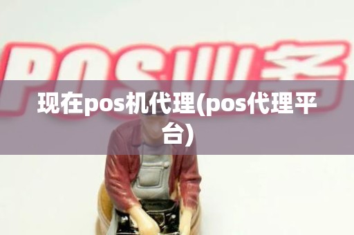 现在pos机代理(pos代理平台) 现在pos机代理(pos代理平台)