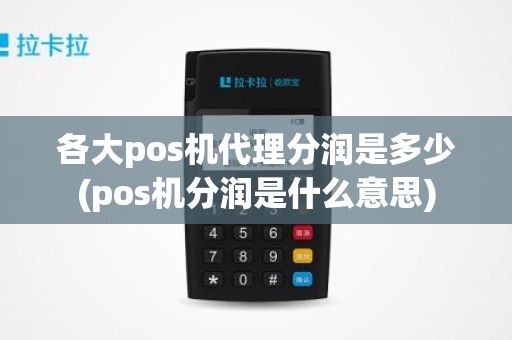 各大pos机代理分润是多少(pos机分润是什么意思)