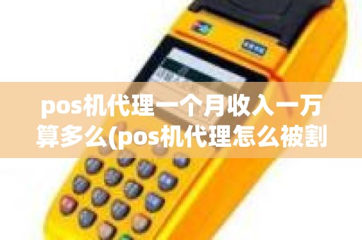 pos机代理一个月收入一万算多么(pos机代理怎么被割韭菜)