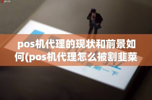 pos机代理的现状和前景如何(pos机代理怎么被割韭菜)