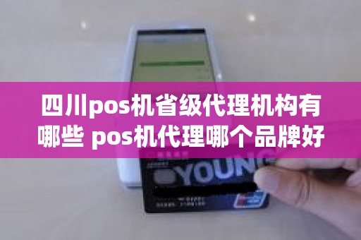 四川pos机省级代理机构有哪些 pos机代理哪个品牌好