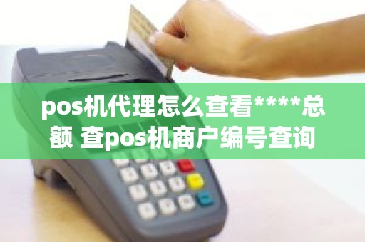 pos机代理怎么查看****总额 查pos机商户编号查询