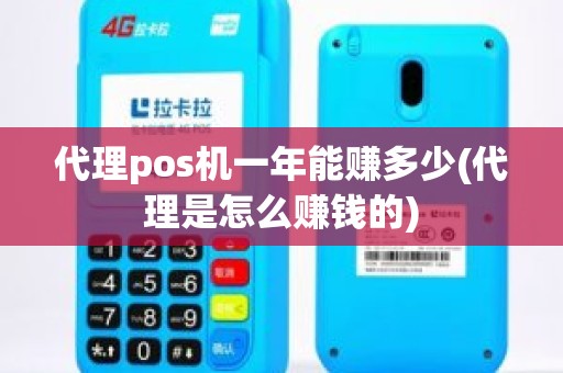 代理pos机一年能赚多少(代理是怎么赚钱的)