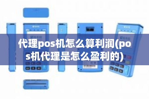 代理pos机怎么算利润(pos机代理是怎么盈利的)