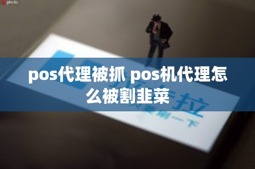 pos代理被抓 pos机代理怎么被割韭菜